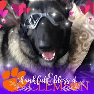 Meet your Posher, Cathy